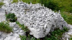 2013-08-12_Rupert-B-Frohkostgipfel (030).JPG